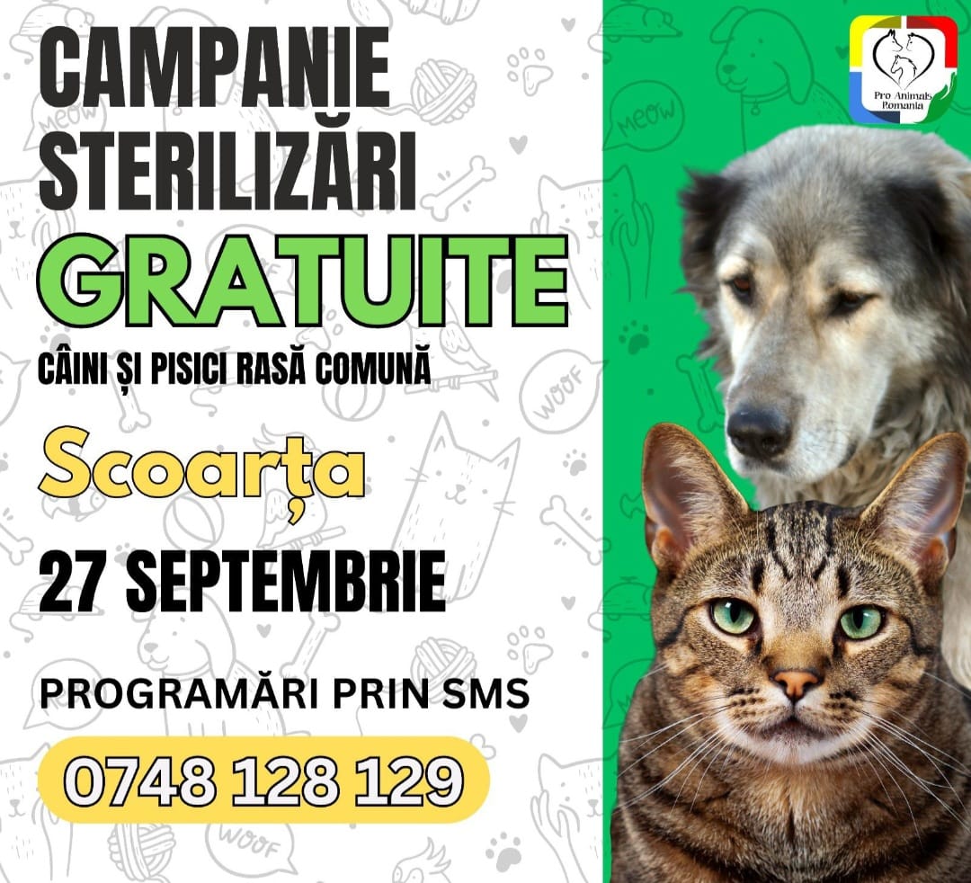 Acțiune de sterilizare gratuită a câinilor fără stăpân în comuna Scoarța
