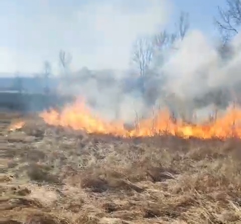Zeci de incendii de vegetație, în Gorj, într-o singură zi
