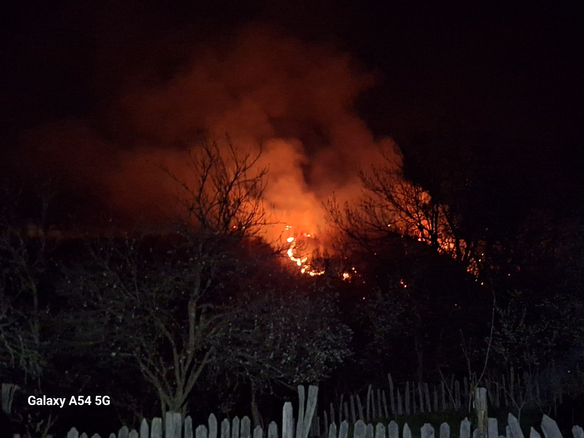 Două incendii în Gorj, unul la vegetație și pădure, altul la o casă