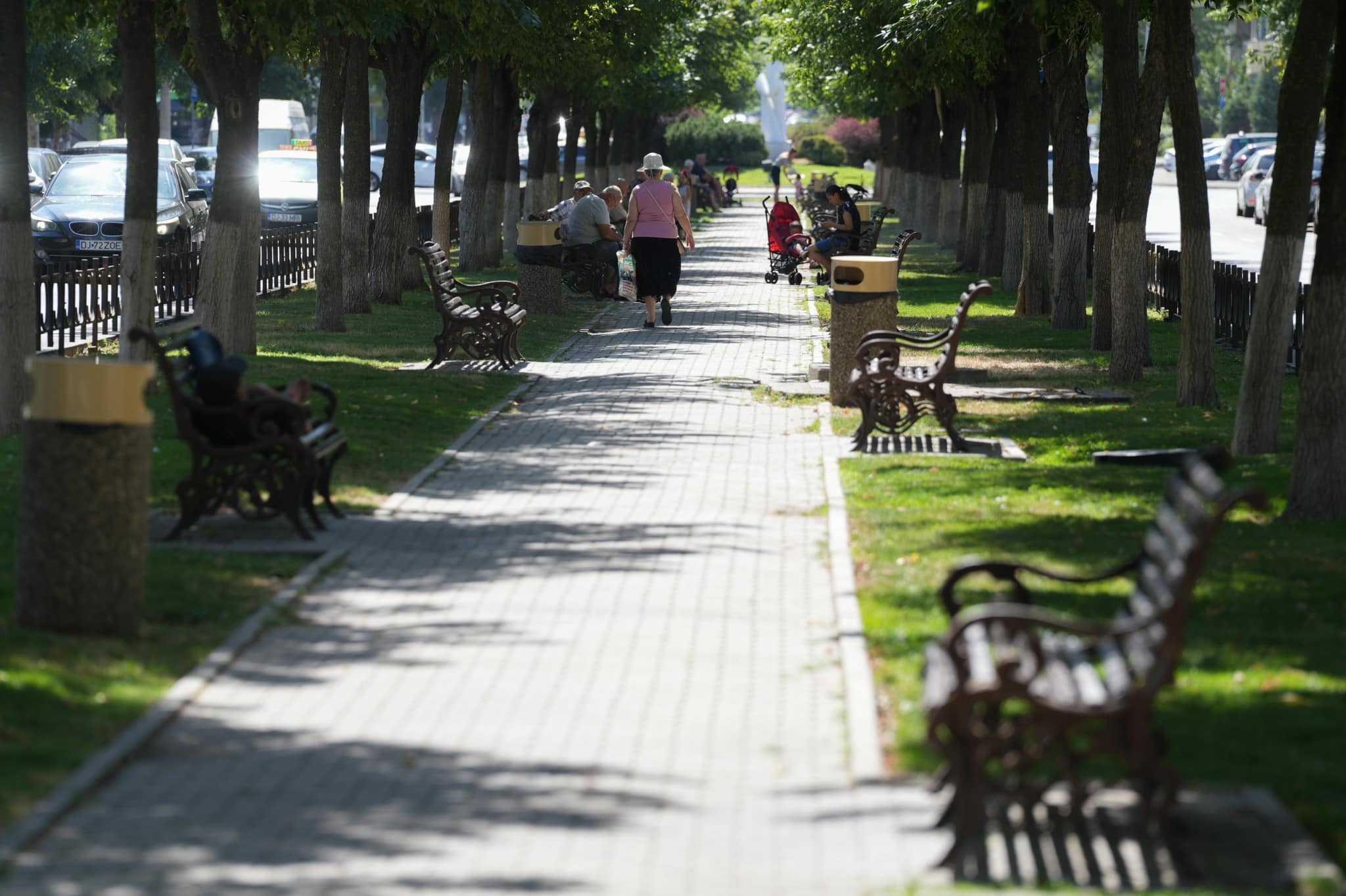 Craiova: Coșuri de gunoi schimbate, din cauza păsărilor