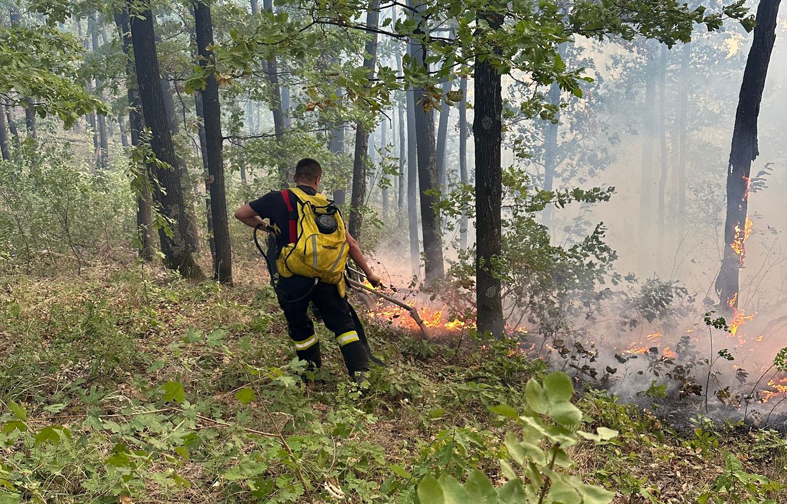 Mehedinți: Incendiu de vegetație pe apriximativ 200 de hectare