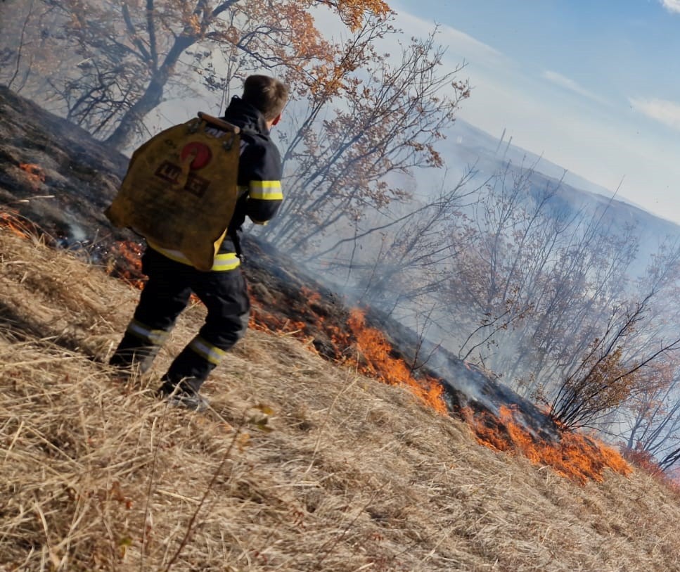 Incendii de vegetație în Mehedinți. Flăcările au cuprins peste 250 de hectare