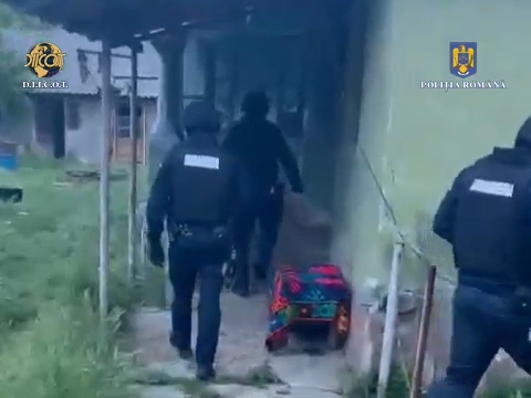 Oltean, reținut pentru trafic de droguri de mare risc