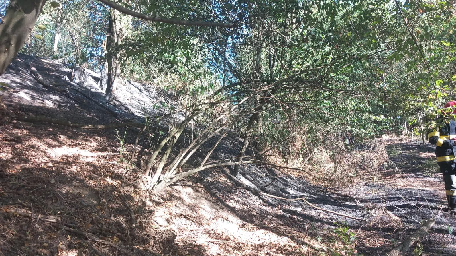 Incendiu de vegetație la Golești, trafic restricționat pe DN7