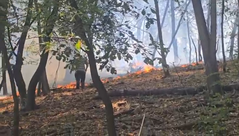 Ce a provocat incendiul de la Tismana