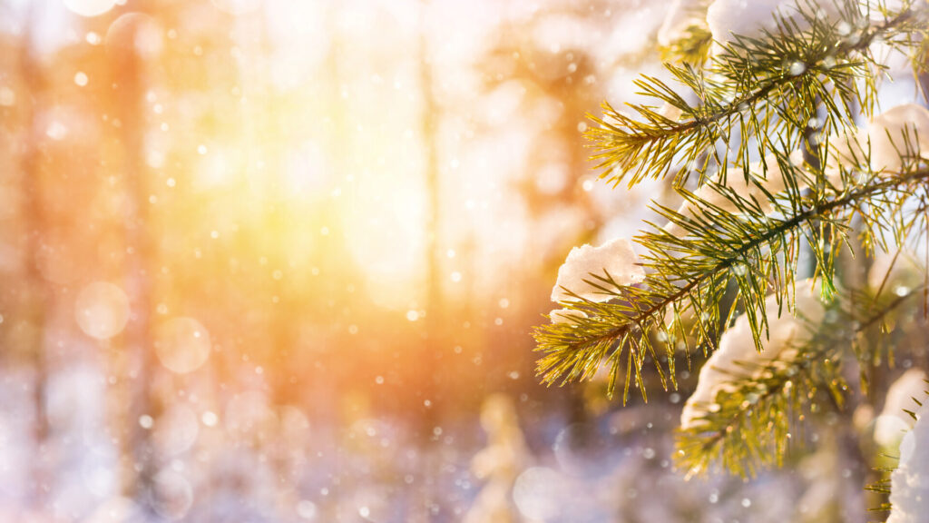 Vreme mai caldă decât cele normale în luna decembrie