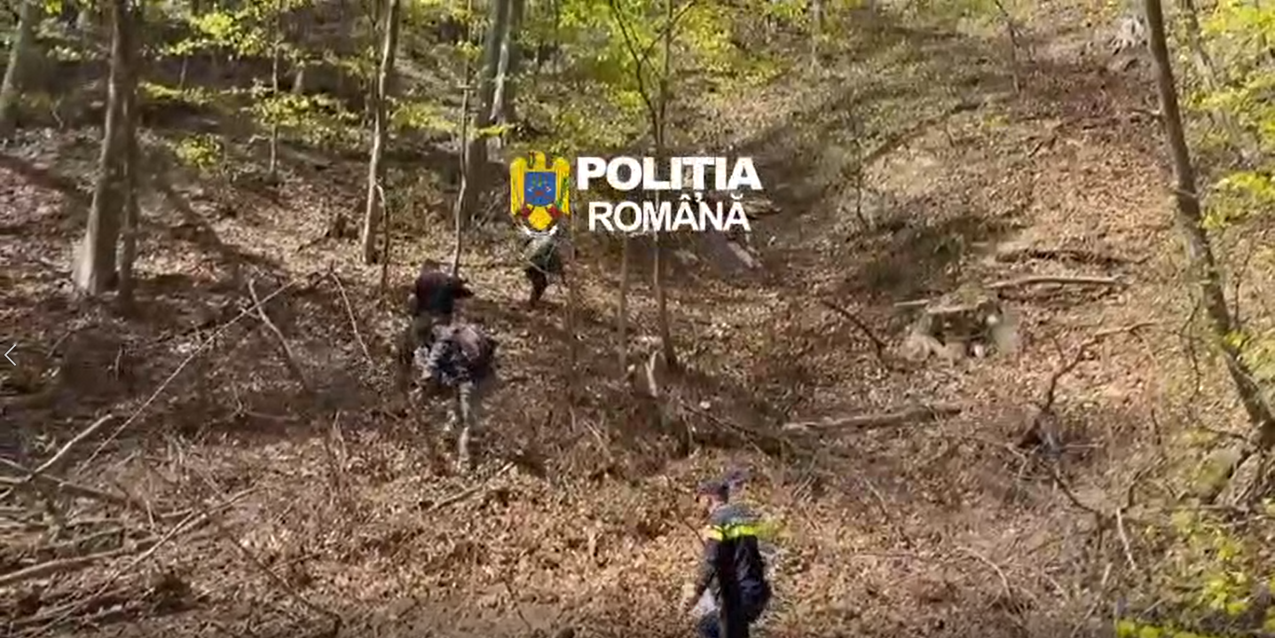Fara titlu 3