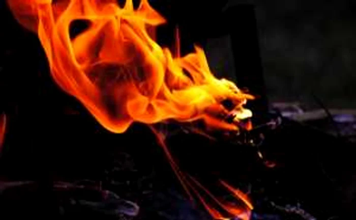 foc