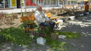 images 6