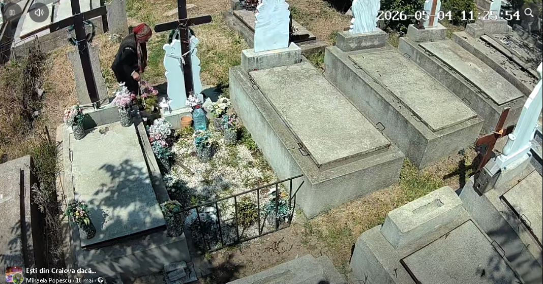 Bătrână din Craiova, surprinsă când fura un ghiveci dintr-un cimitir batrana 1068x559 1