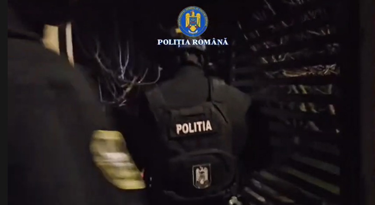 mascati perchezitii bataie