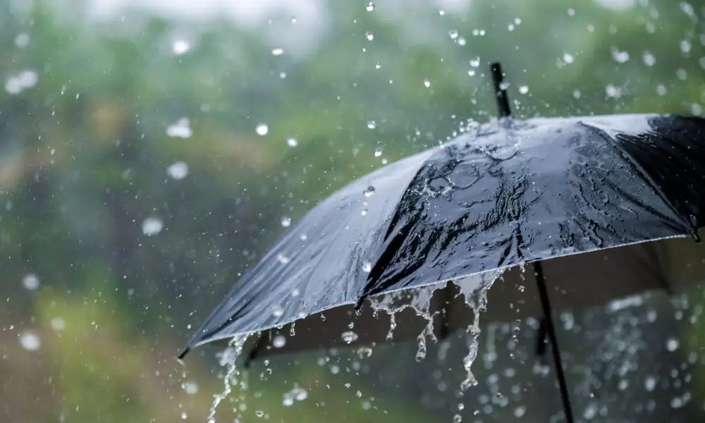 meteo vant ploi