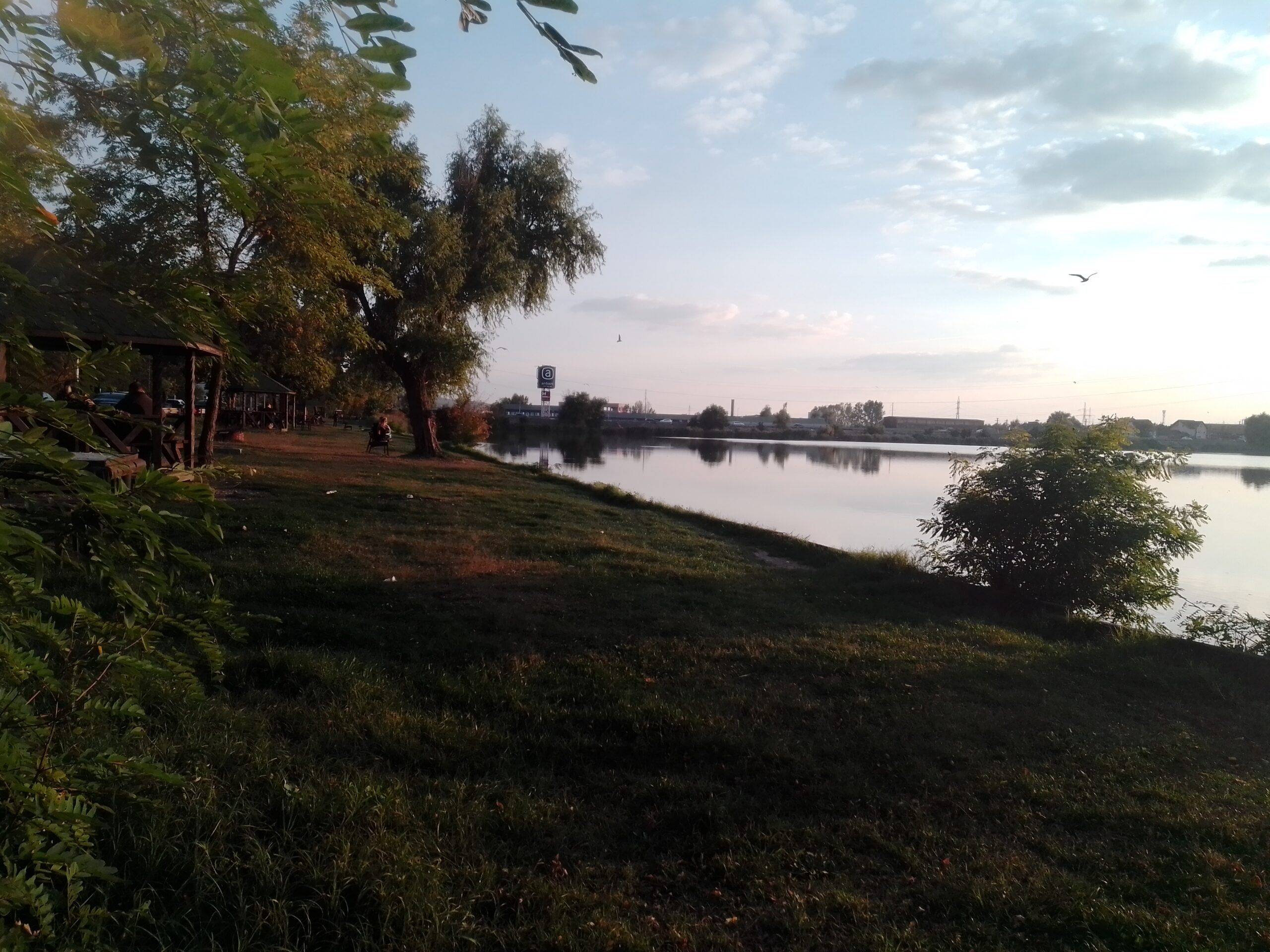 Lacul Ostroveni scaled