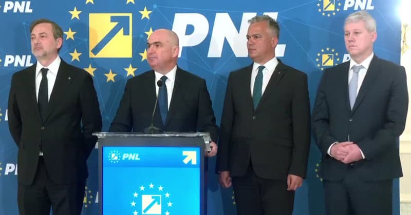 bolojan bpn pnl