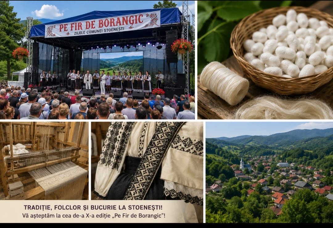 poza stoenesti