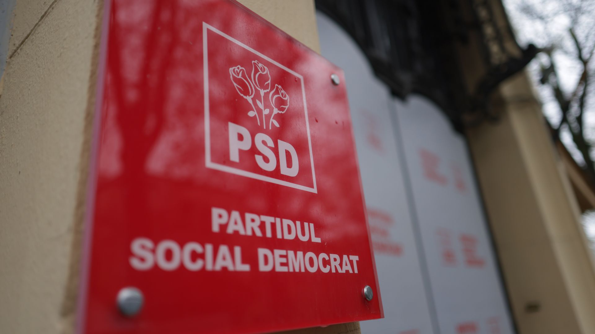 psd inquam photos george calin