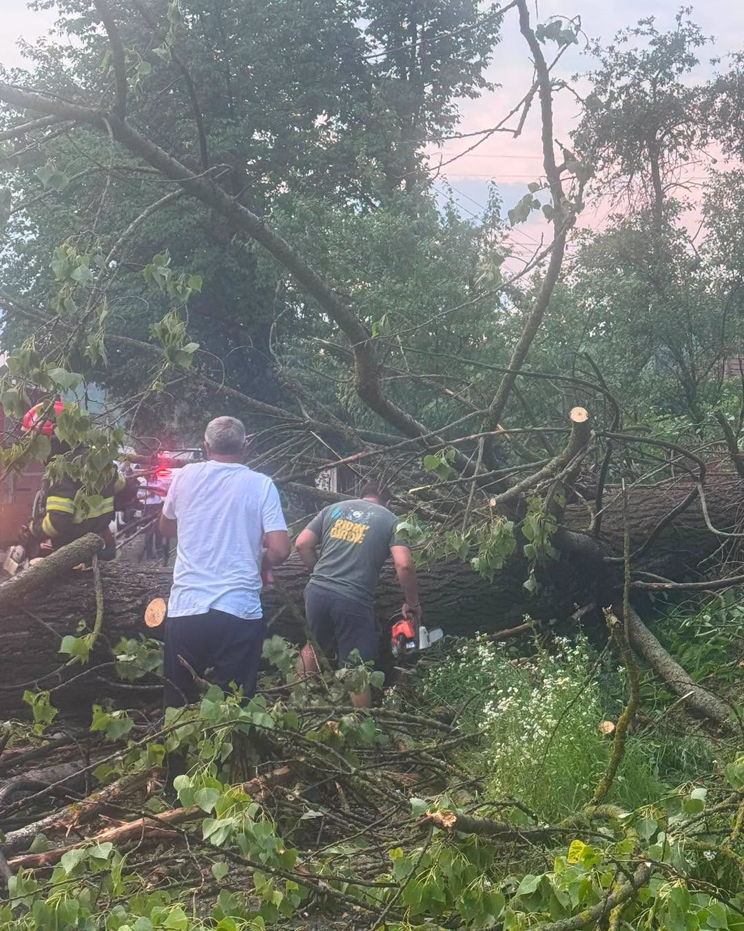 Furtuna de aseară a blocat temporar traficul în Popești 735076172 4766852516868959 1231045018149538833 n