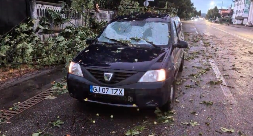 Copaci prăbușiți peste autoturisme la Târgu Jiu 7cbd1f49 b40b 4034 95ae c958c6a25cda