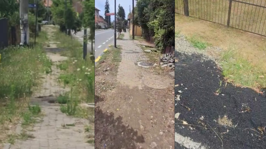 Fara titlu 22 iulie 2026 la 09.44.34 2