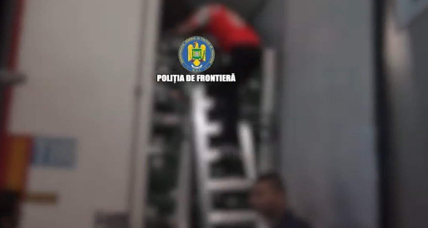fdsfsfsd
