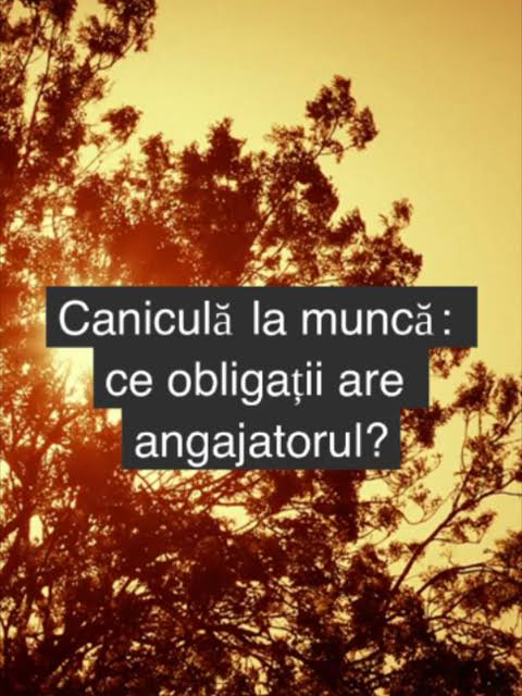 Măsuri obligatorii pentru angajații care lucrează în caniculă images 7