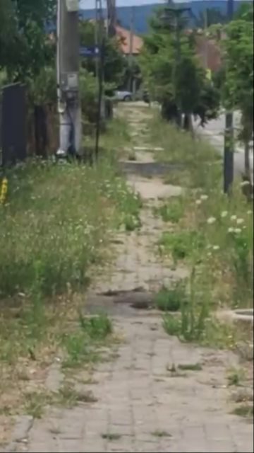 Imagini dezolante din orașul Novaci. Președinte de partid: "E de râsul lumii" vlcsnap 2026 07 27 13h36m11s918