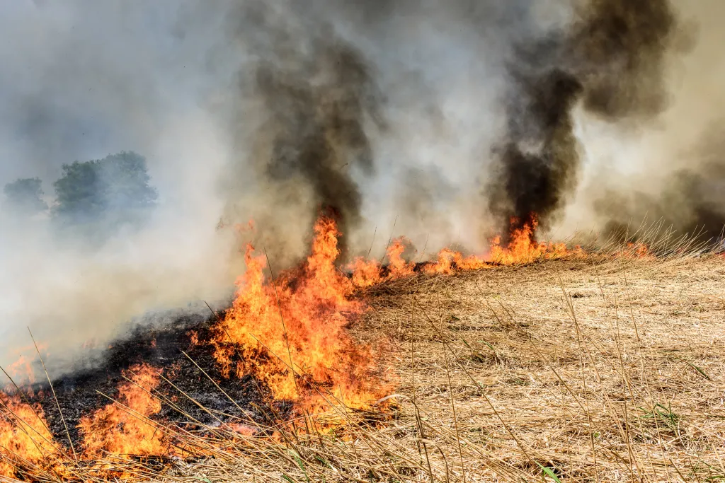 Foc in camp teren agricol