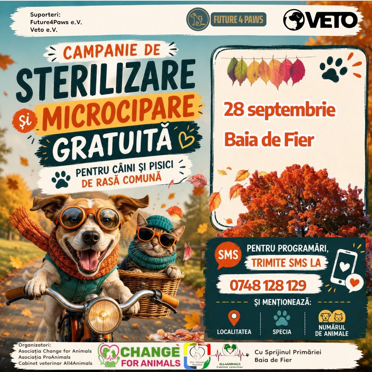 STERILIZARI BAIA DE FIER