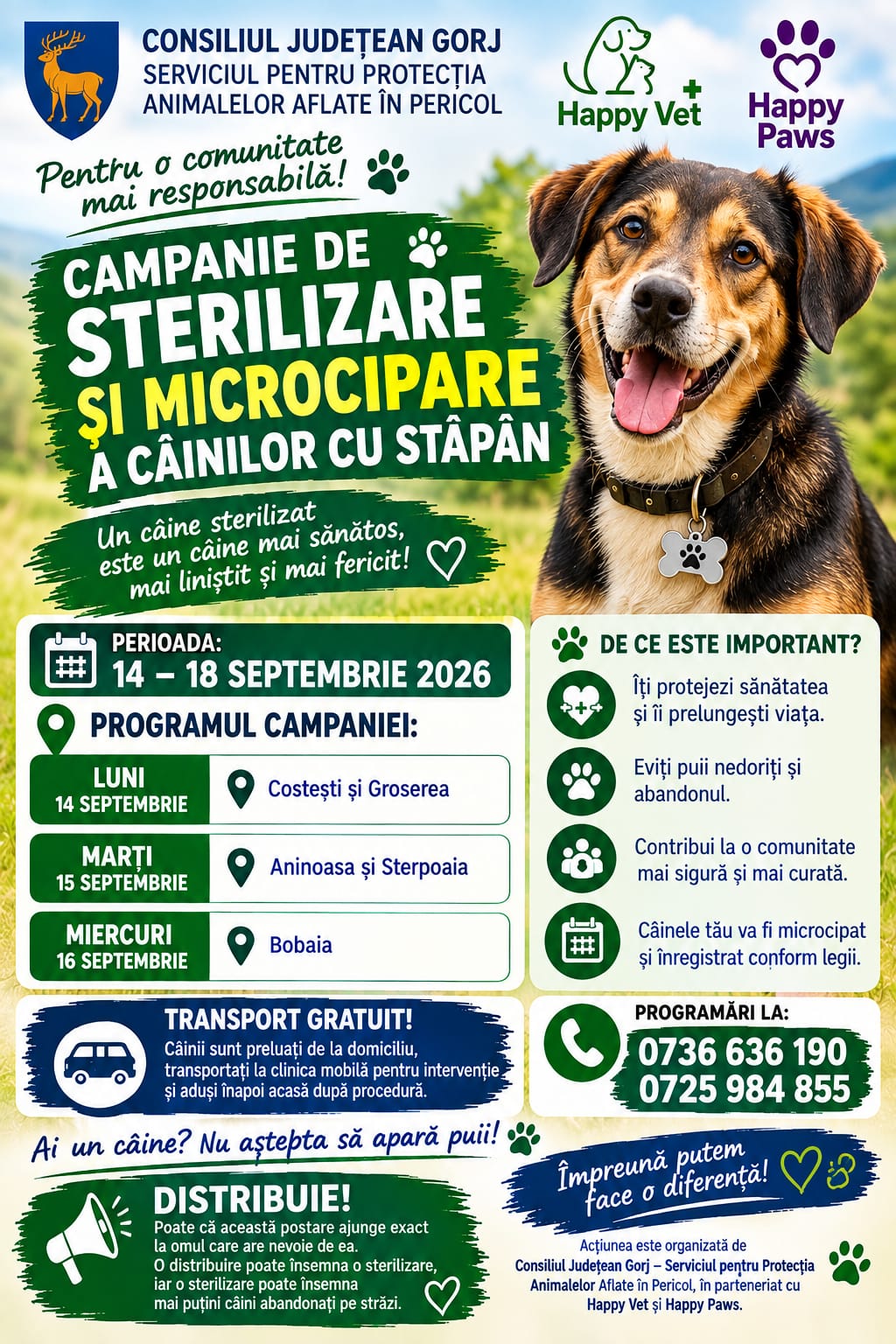 Campanie gratuită pentru câinii din Aninoasa: sterilizare și microcipare fără costuri campanie sterilizare 5