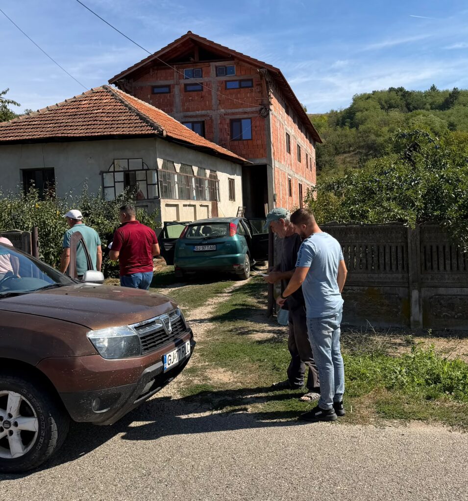 Campanie gratuită pentru câinii din Aninoasa: sterilizare și microcipare fără costuri campanie sterilizare 6