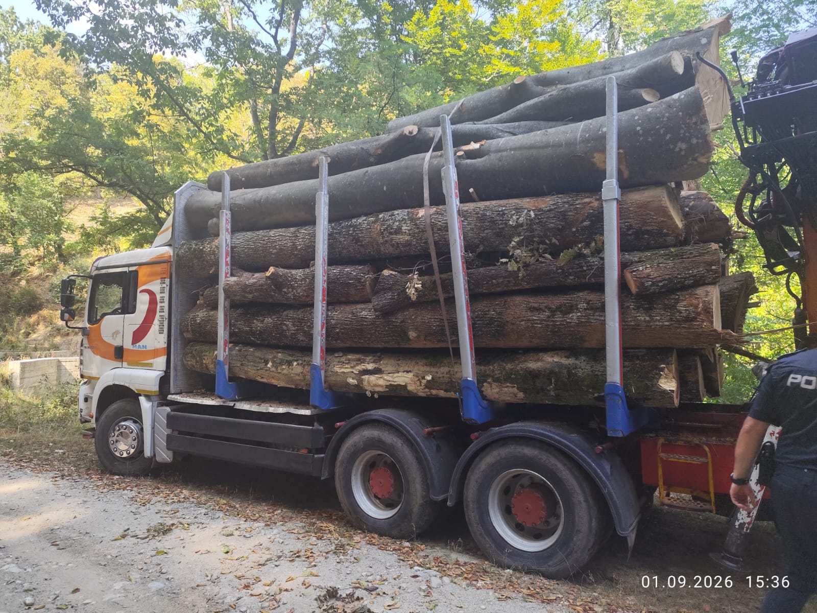15 metri cubi de lemn, transportați fără acte. Autoutilitara și marfa, confiscate furt lemne