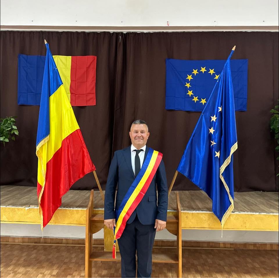 ion budilica stejari