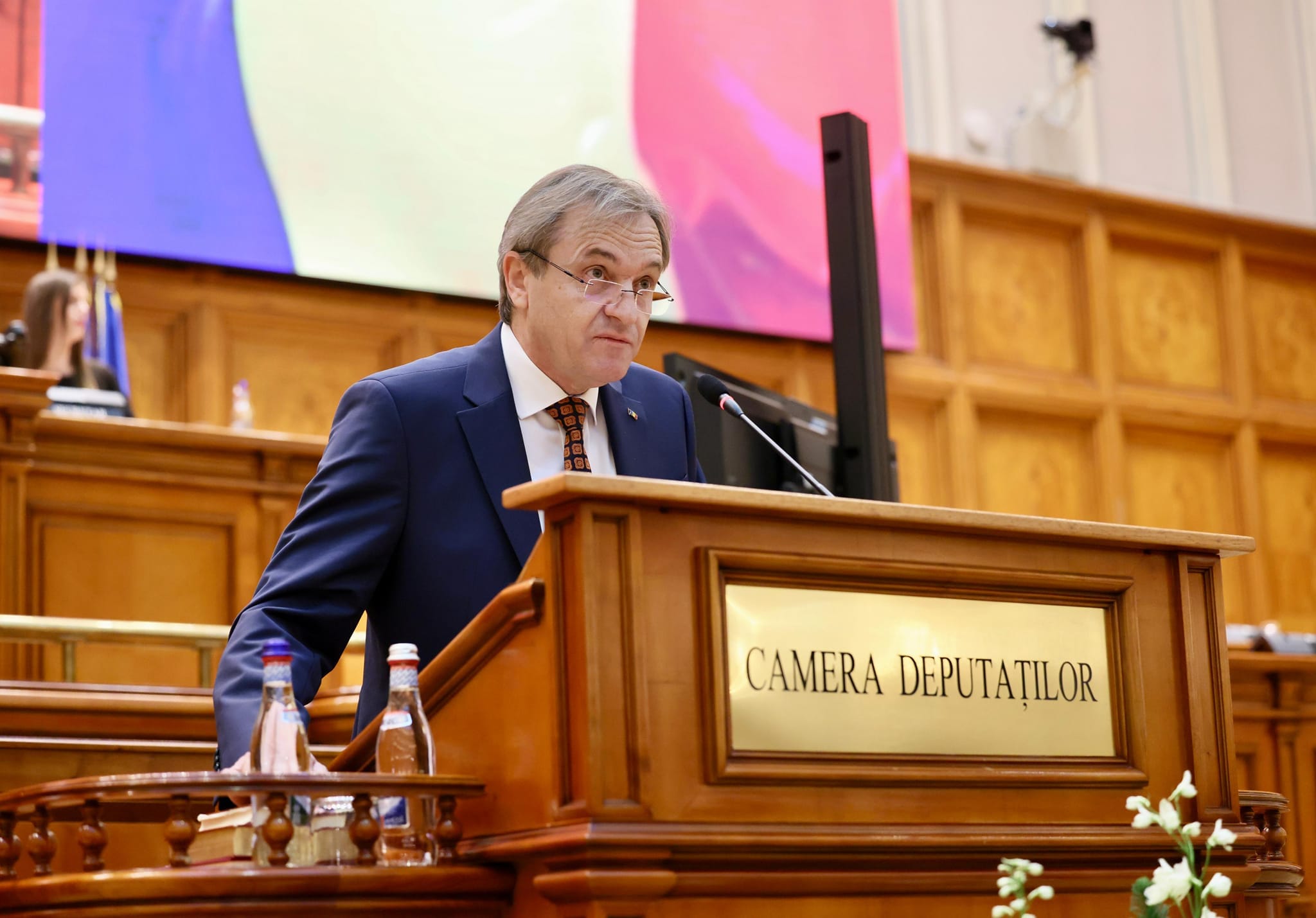 mihai weber 1