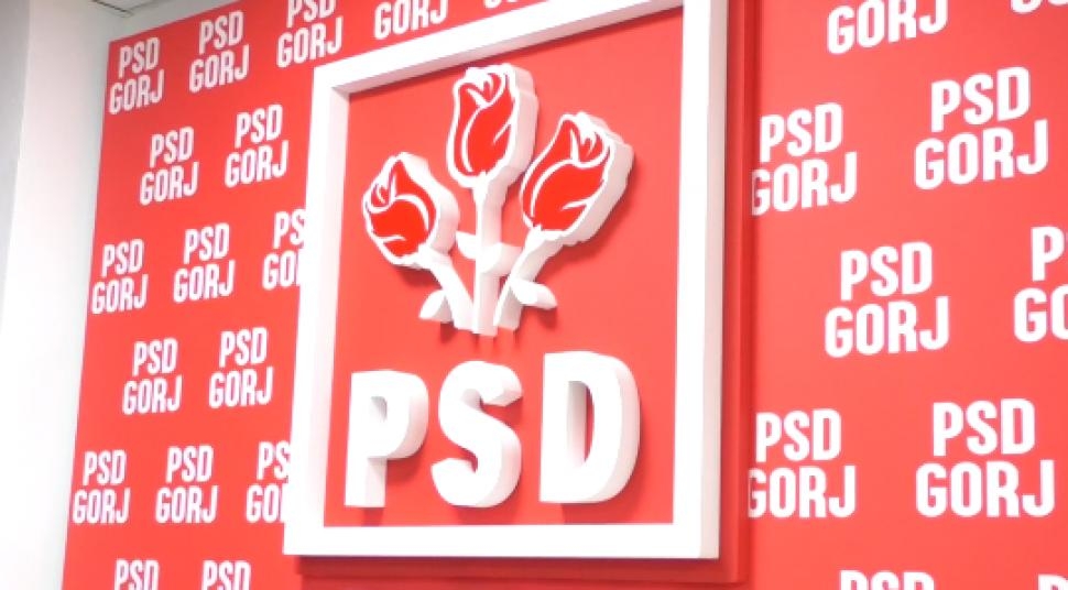 Când vor fi organizate alegeri la PSD Gorj psd gorj