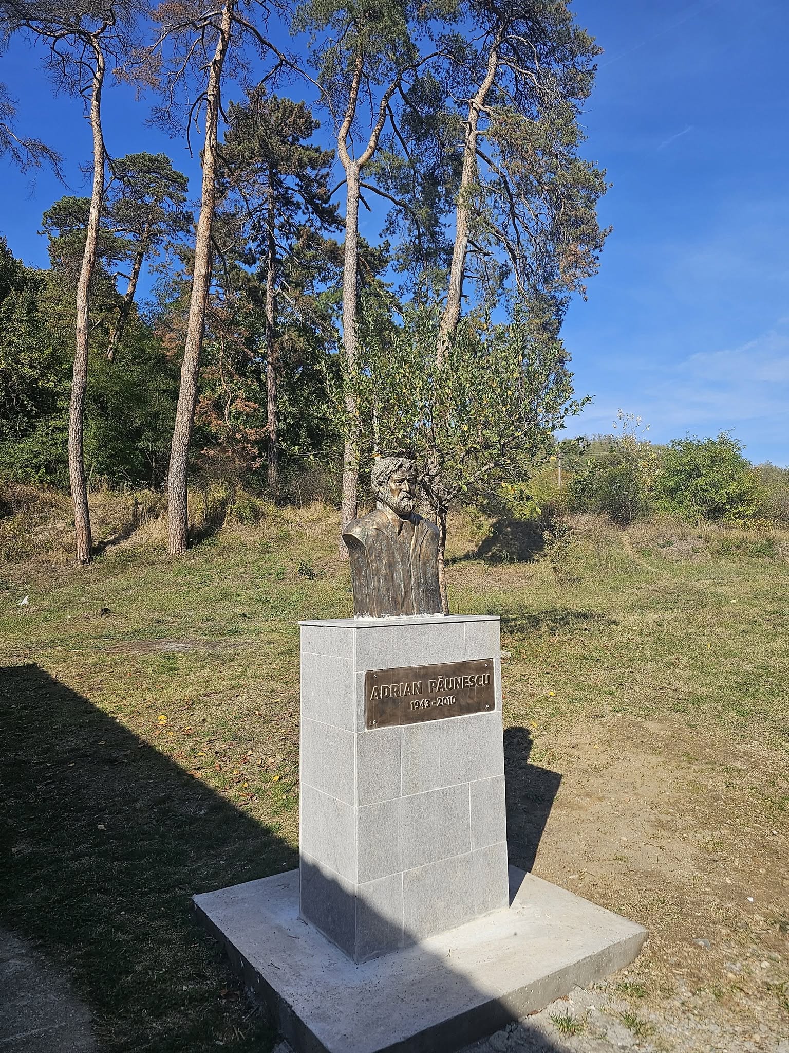 poza Samburesti bust Paunescu