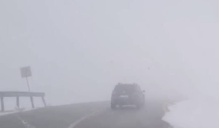 transalpina ceata